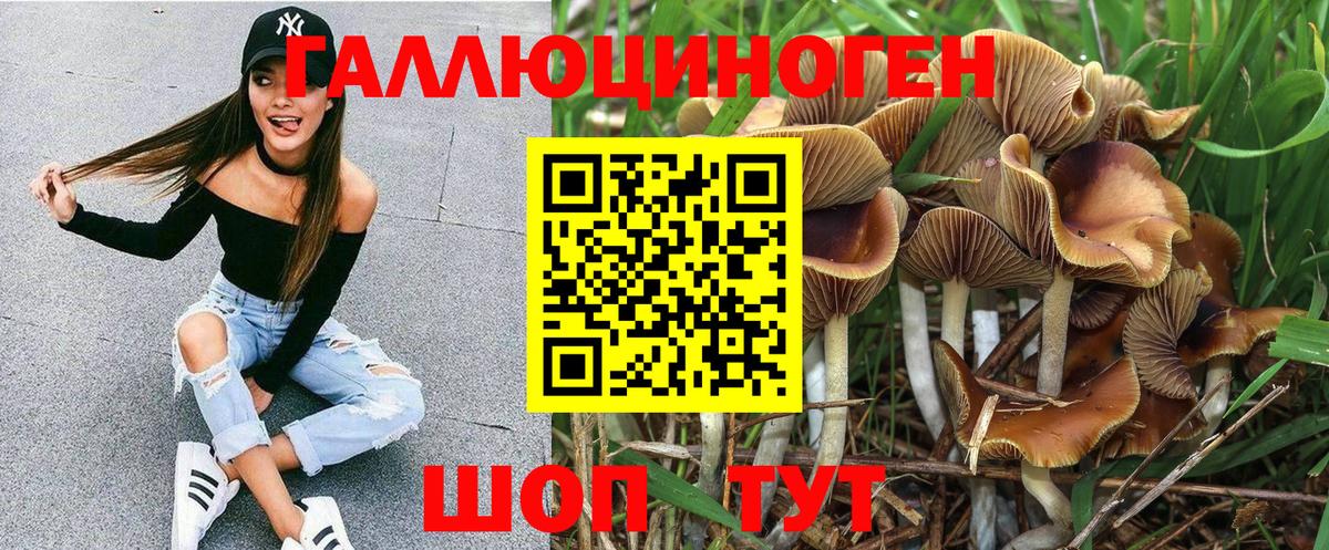 Псилоцибиновые грибы GOLDEN TEACHER  Вход с VPN  где можно купить   Галлюциногенные грибы Magic Shrooms  Омск 
