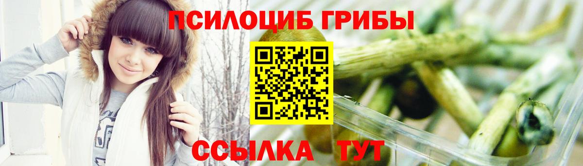 Псилоцибиновые грибы Psilocybe Омск